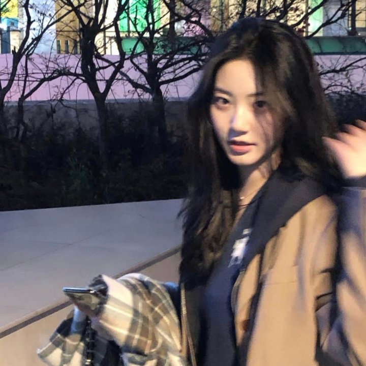 阿尔玛与狼
